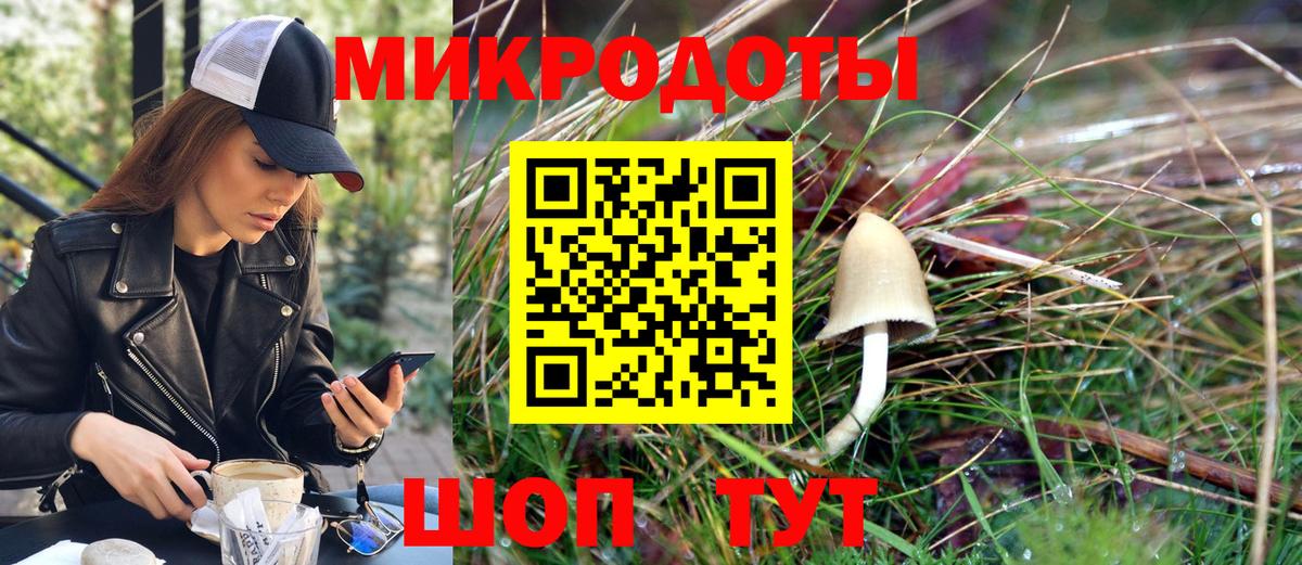 где продают   Псилоцибиновые грибы Psilocybe  Вход с VPN  Кубинка 